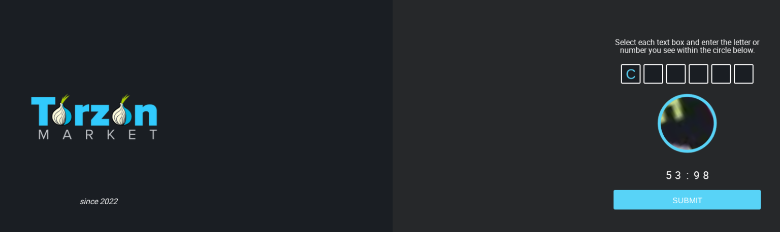 TorZon Market dashboard screenshot showing live vendor listings